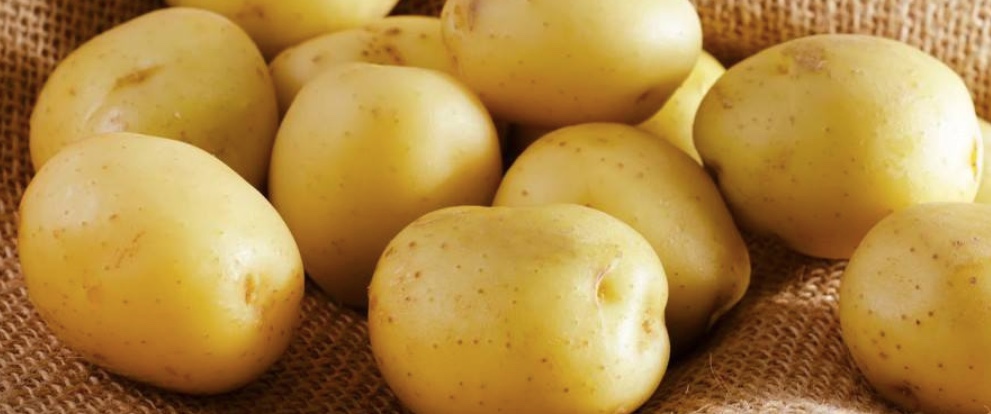 Pommes de terre bio à Toulouse